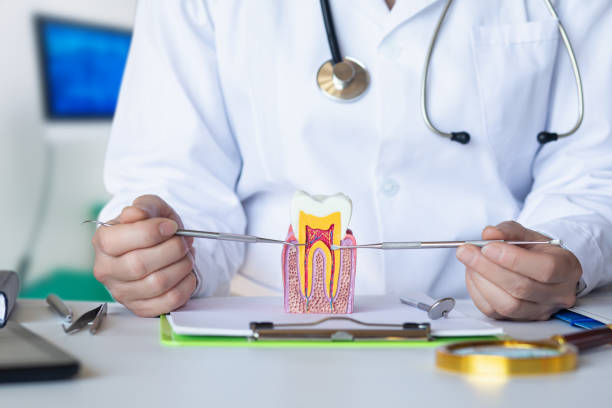 Best Emergency TMJ Treatment in Olathe, CO